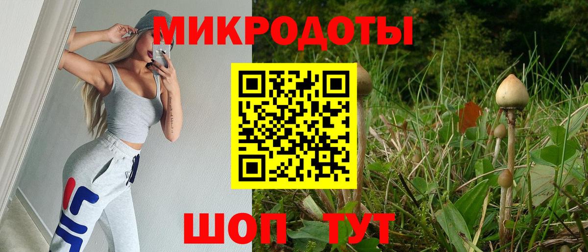 Галлюциногенные грибы Magic Shrooms  Краснодар  Псилоцибиновые грибы прущие грибы 